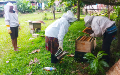 Training For SANMA Beekeepers
