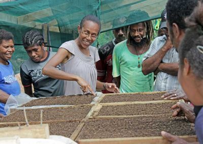 Students learning how to sow seeds - agribusiness