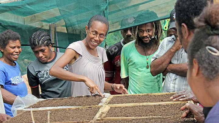 TVET students learning how to sow seeds in Vanuatu